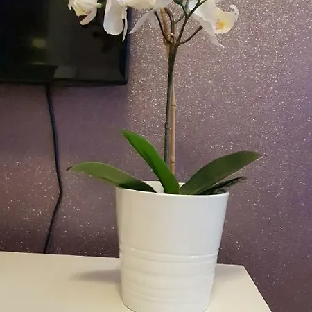 Glamour Downtown Balcony