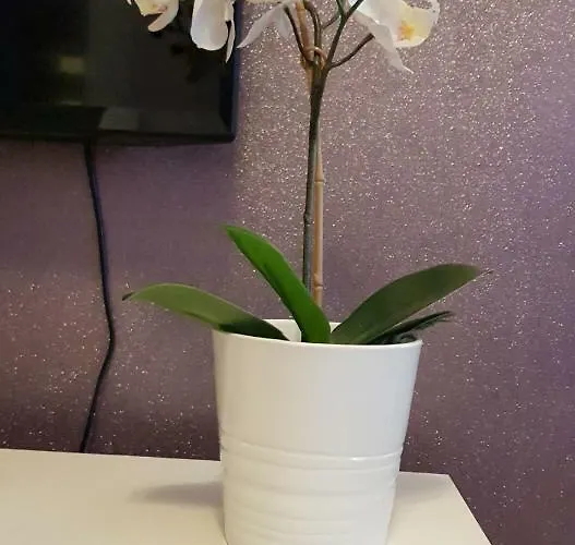 Glamour Downtown Balcony